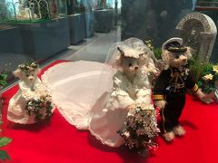 -济州岛泰迪熊博物馆