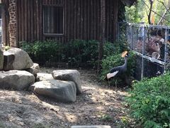 -上方山森林动物世界