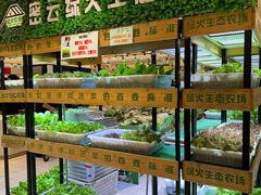 -新世界百货(顺义店)
