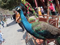 -汉中石门栈道景区