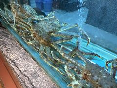 -海逸海鲜酒家(古北店)