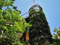 -三鹰之森吉卜力美术馆