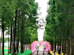 -歌斐颂巧克力小镇