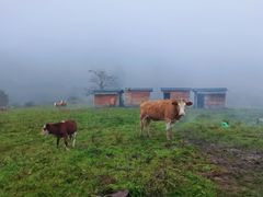 -硗碛藏寨·神木垒景区