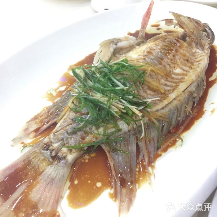 新苑酒家(嘉宾路店)图片