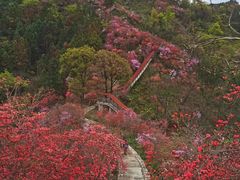 -岳西天峡风景区