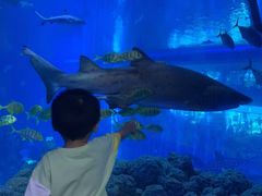 -成都浩海立方海洋公园