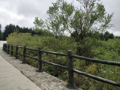 -石棉县孟获城
