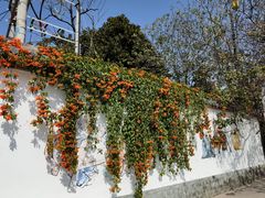 -潮州古城