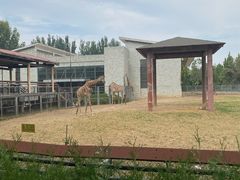 -石家庄市动物园