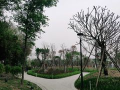 -王借岗森林公园