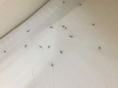-栖游青年旅舍(华强北地铁站店)