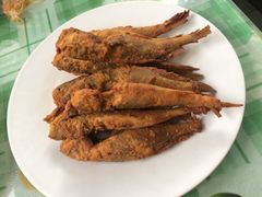 -华春餐馆(鱼山路店)