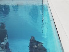 -金泽21世纪美术馆