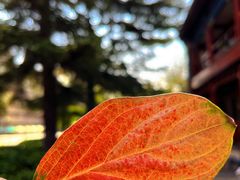 -北京石刻艺术博物馆(五塔寺)