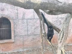 -南昌动物园