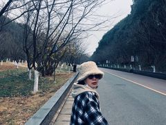 -团城山公园