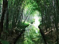 -同里国家湿地公园