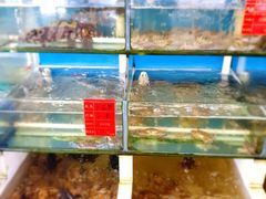 水产区-阿弟特色海鲜餐厅·大排档(平潭店)