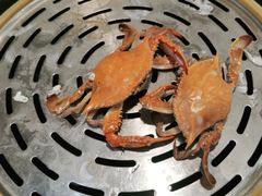 -四海蒸鲜蒸汽海鲜自助(北戴河店)