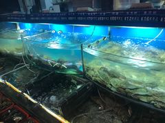-大洋海鲜居·海鲜特色菜(墟沟海鲜美食城店)