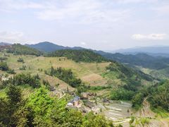 -紫鹊界梯田景区