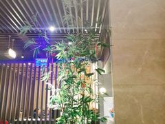 -老头儿油爆虾(星光一期店)
