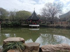 -上海醉白池公园