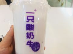 -一只酸奶牛(八一路店)