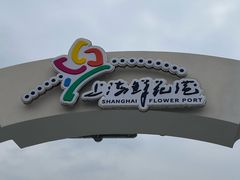 -上海鲜花港