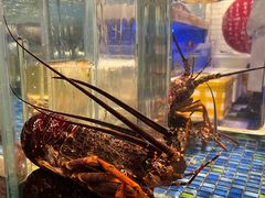 -金海华·悦食东方(苏州中心商场店)
