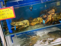 水产区-蚝专家(北滘店)
