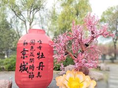 -洛阳市隋唐城遗址植物园