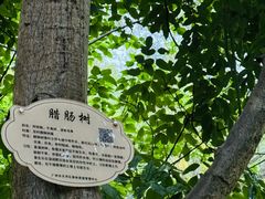 -火炉山森林公园