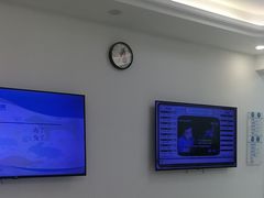 -北京观赏动物医院·24小时大型综合·猫专科·异宠专科