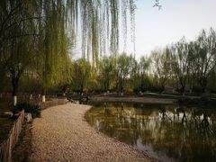 -丰台科技园生态主题公园