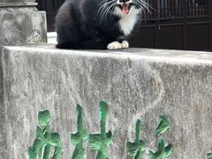 -南通鹏欣花园国宾酒店