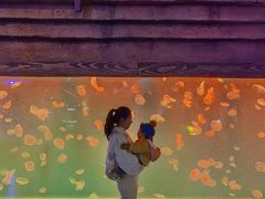 -华夏文旅西安度假区