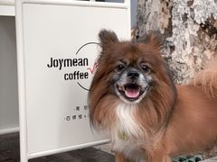 -Joymean coffee.见面咖啡