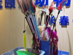 -宠颐生动物医院·心脏科·保险定点(锦阳分院)