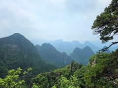 -大连天门山国家森林公园