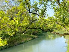 -西溪国家湿地公园