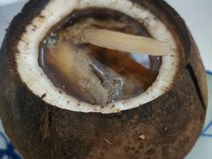 原只椰子炖竹丝鸡-達揚原味燉品(文明路店)