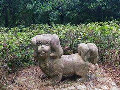 -莫干山风景区