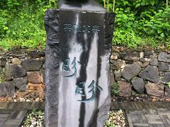 -都江堰中华大熊猫苑