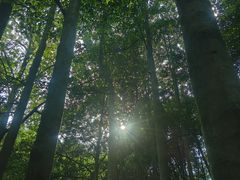 -黄公望隐居地