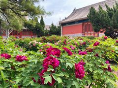 -大钟寺古钟博物馆