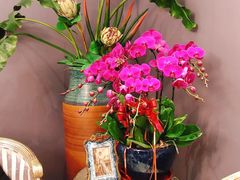 -外滩1288花园丽舍