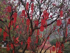 -南国桃园旅游度假区