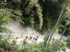 -川西竹海景区